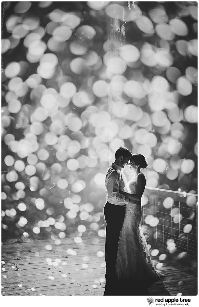 Black and White Wedding Portrait of Bride and Groom 2